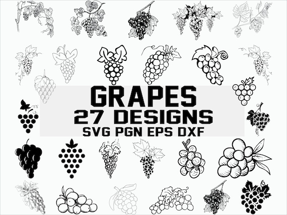 Download Grape Svg Wine Svg Vineyard Svg Fruits Svg Clipart Etsy