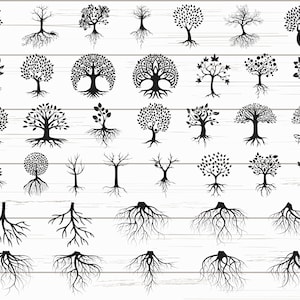 39 boom met wortels SVG/roots SVG/stamboom SVG/cut-bestanden/Cricut/clipart/silhouet/vector/DXF