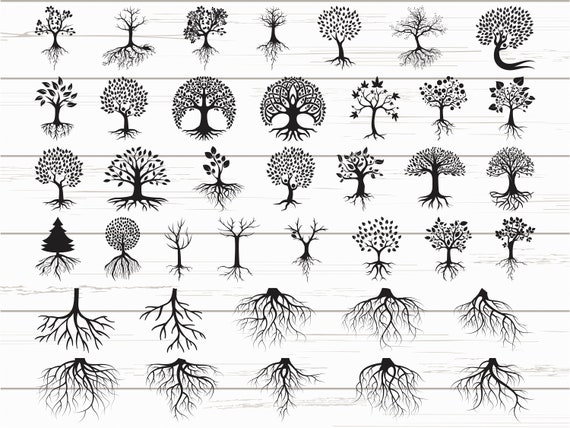 Family Tree Roots Clip Art