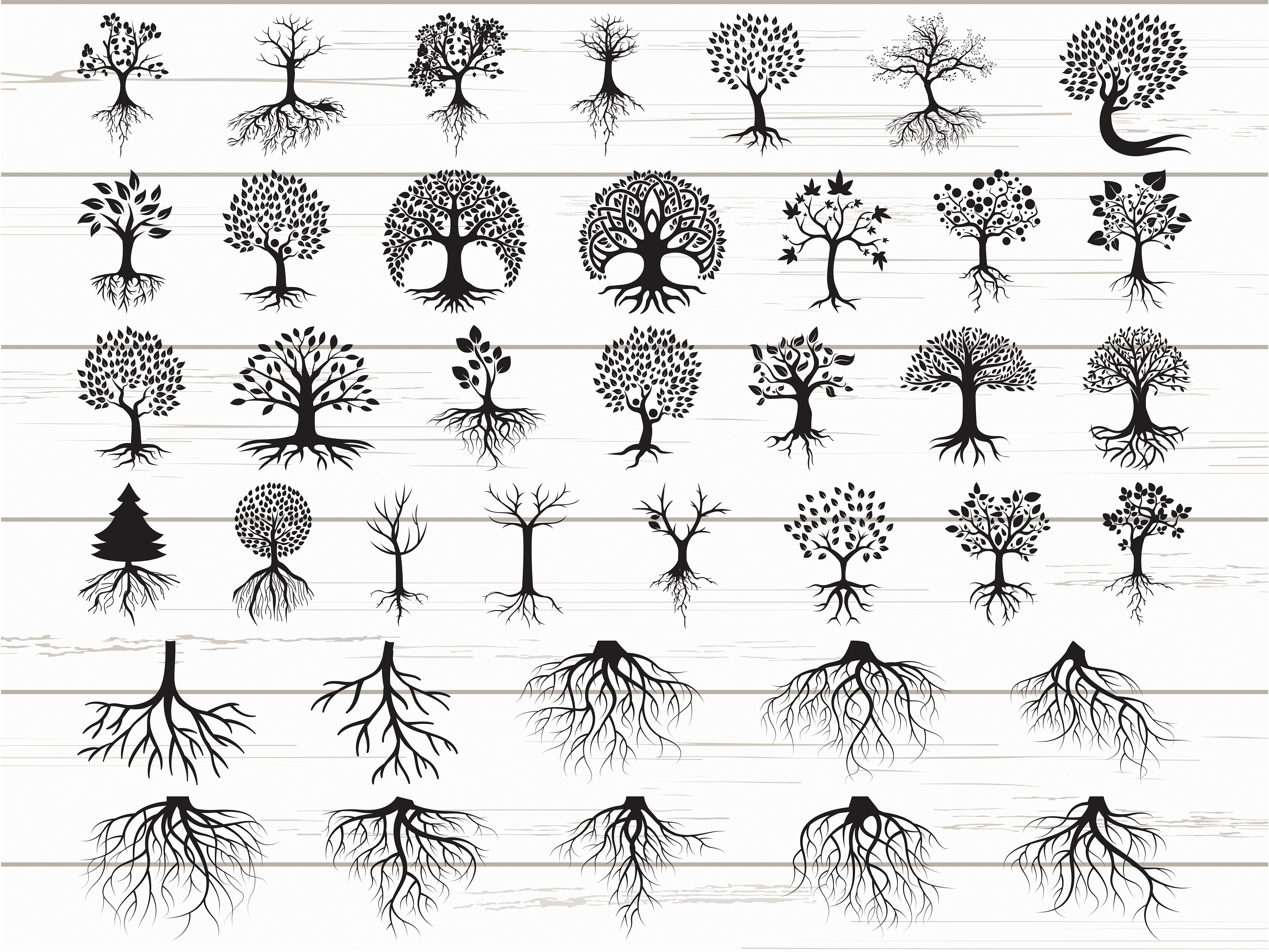 Download 39 Tree With Roots Svg Roots Svg Family Tree Svg Cut Files Cricut Clipart Silhouette Vector