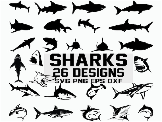 Free Free 103 Free Shark Svg Images SVG PNG EPS DXF File