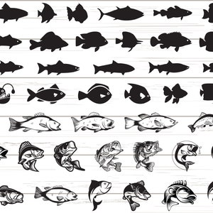41 poissons SVG / Pêche SVG / Cricut / Clipart / Silhouette / Vectoriel / Pêcheur SVG / Vector / Dxf / Png / Eps