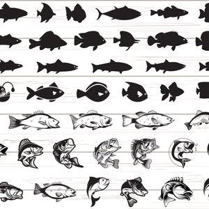 41 Fish SVG / Fishing SVG / Cricut / Clipart / Silhouette / Vector / Fisherman SVG / Vector / Dxf / Png / Eps