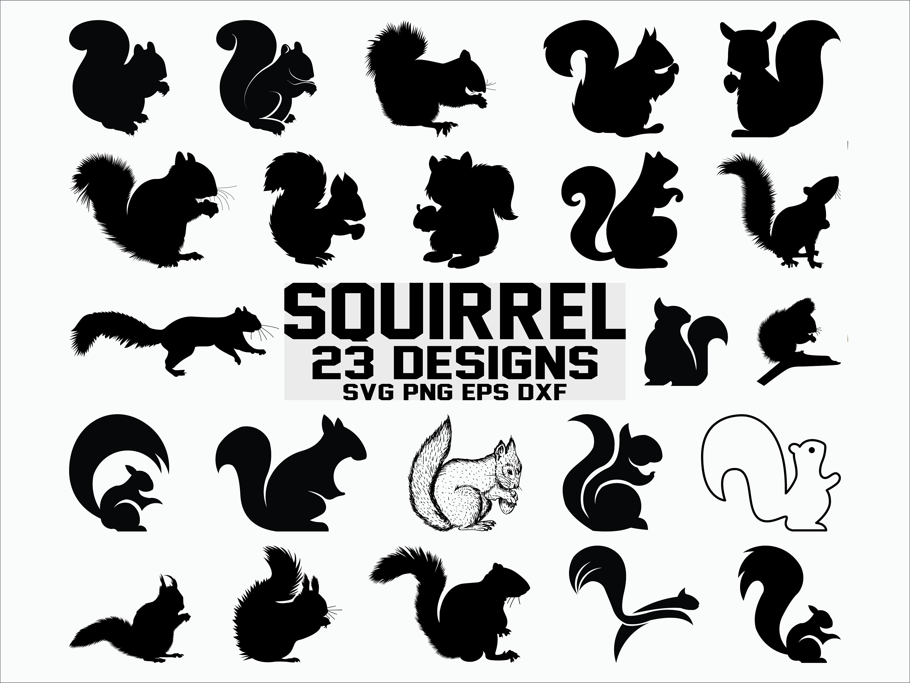Squirrel SVG/ Squirrel Silhouette/ Squirrel Vector/ Clipart/ Etsy