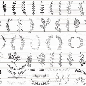 48 feuilles SVG / SVG de feuilles dessinées à la main / fichiers de coupe / fichiers pour Cricut / Silhouette / Clipart / vecteur