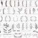 48 Leaves SVG / Hand Drawn Leaves SVG / Cut Files / Files for Cricut / Silhouette / Clipart / Vector