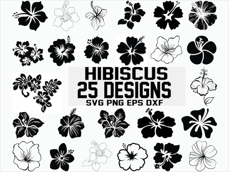 Free Free 73 Silhouette Hibiscus Flower Svg SVG PNG EPS DXF File