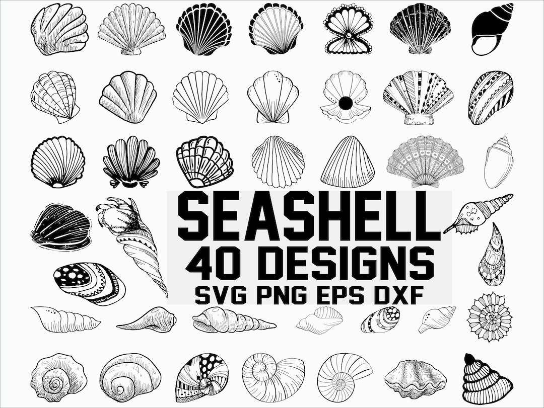 Seashell SVG/ Shell Svg/ Seashell Clipart/ Clam Svg/ Scallop Svg/ Ocean ...