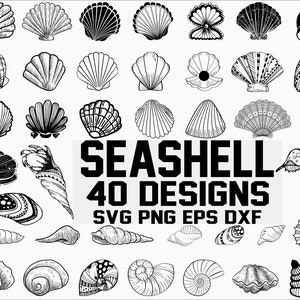 Seashell SVG/ shell svg/ seashell clipart/ clam svg/ scallop svg/ ocean svg/ marine svg/ stencil/ vinyl cut files/ cricut files/ svg files