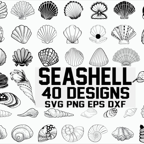 Seashell SVG/ shell svg/ seashell clipart/ clam svg/ scallop svg/ ocean svg/ marine svg/ stencil/ vinyl cut files/ cricut files/ svg files