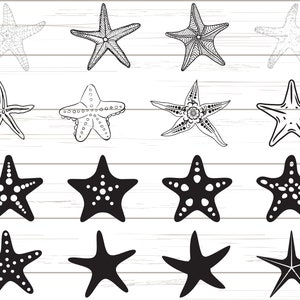 Starfish SVG / Ocean Svg / Clipart/ Cut File / Cricut / Silhouette / Vector / Dxf