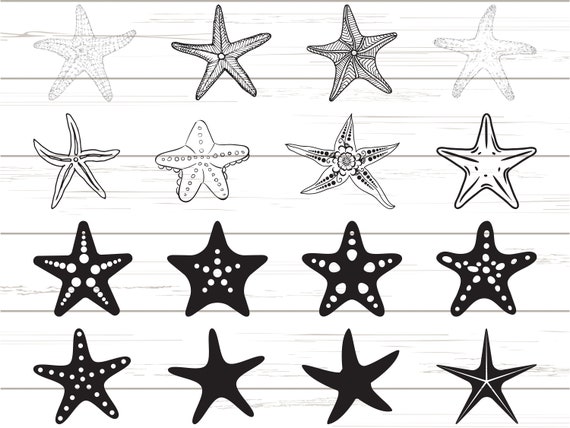 Download Starfish Svg Ocean Svg Clipart Cut File Cricut Etsy
