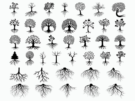 Download 39 Tree With Roots SVG / Roots Svg / Family Tree Svg / Cut ...