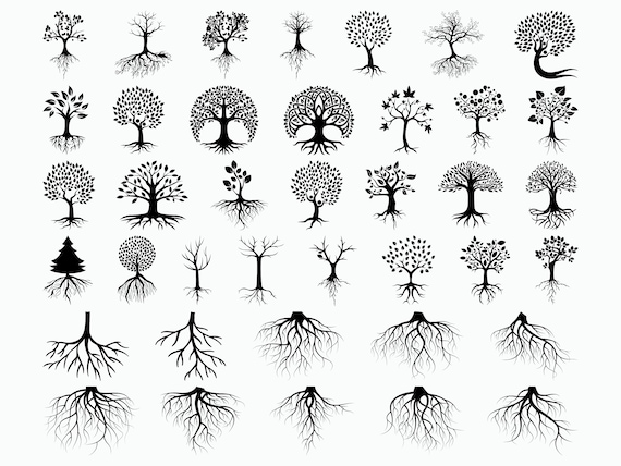 Download 39 Tree With Roots SVG / Roots Svg / Family Tree Svg / Cut ...