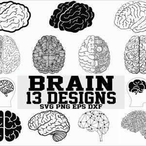 Brain svg/ human brain svg/ organ svg/ clipart/ decal/ stencil/ vinyl/ cut file/ iron on/ eps/ dxf/ image/ silhouette/ cricut file