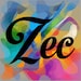 ZECworkshop store logo