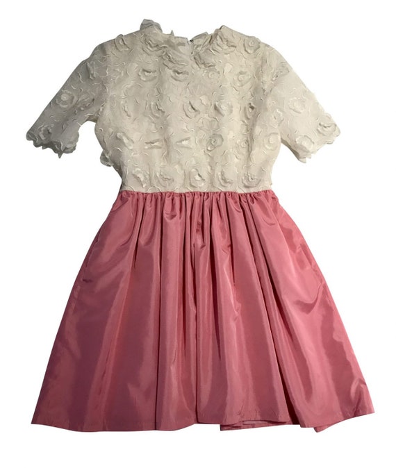 Vintage Pink Lady Dress - image 3