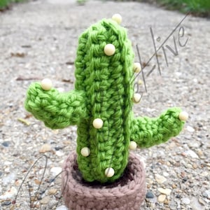 Puntaspilli/fermacarte Cactus bloccato su di te (SOLO PDF MODELLO ALL'UNCINETTO)