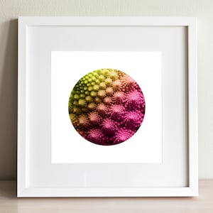 May include: A close-up of a Romanesco broccoli, a type of edible green vegetable with a unique fractal pattern. The broccoli is a vibrant green and yellow color, with a hint of pink.