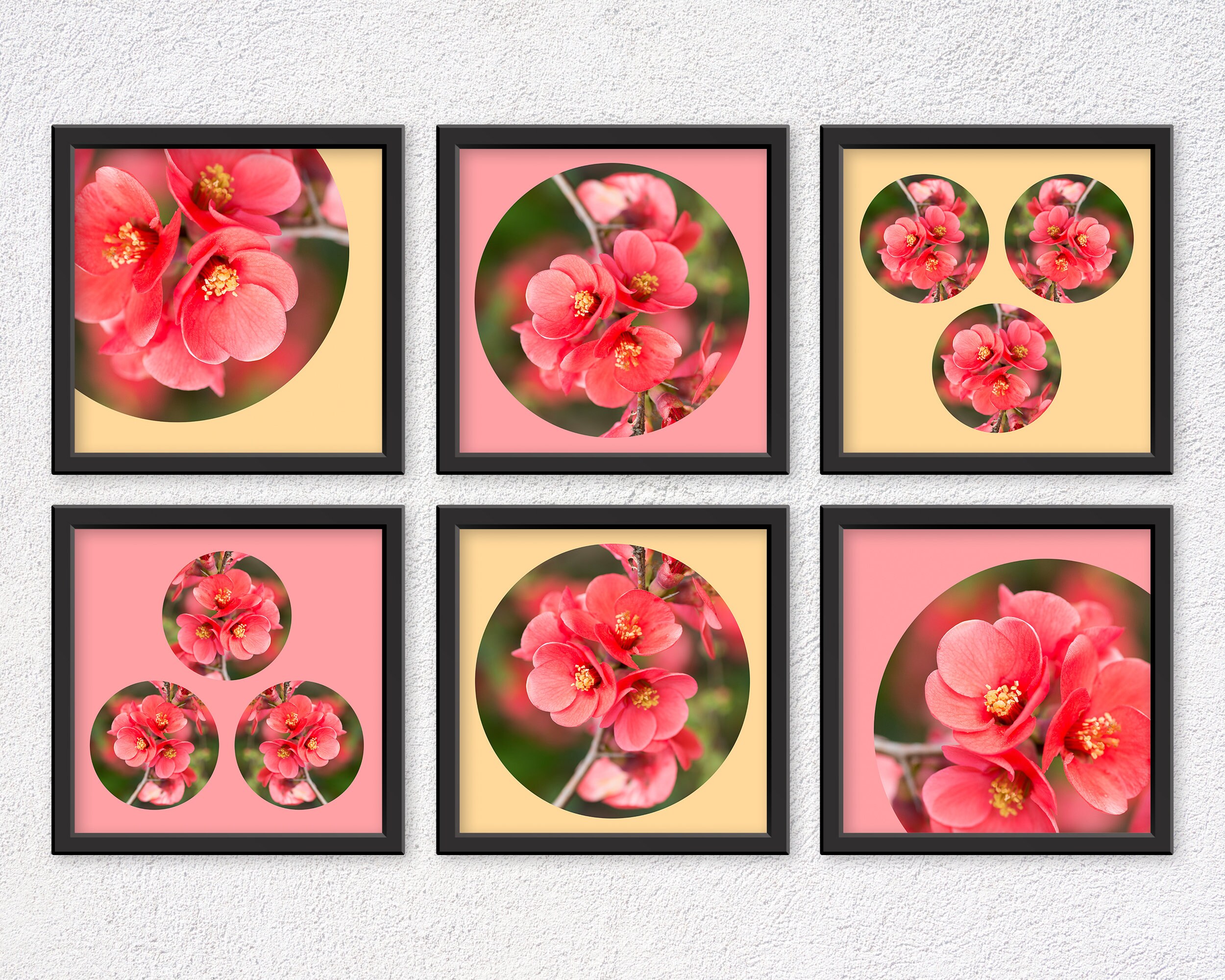 Set of 6 Flowers Prints Gallery Wall Floral Poster Printable Etsy UK
