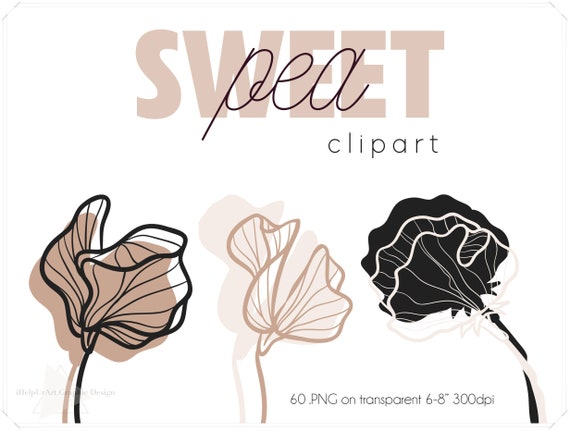 Sweet Pea Clipart Floral Clip Art Outline Botanical Nude Etsy