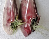 2 Glossy Maroon and Beige Yonic Air Plant Holders - Sculptural wall art