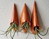 3 Satin Orange Yonic Air Plant Holders - Sculptural wall art