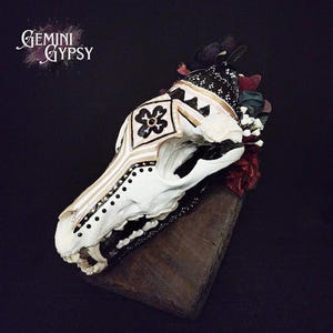 Real Handpainted Coyote Skull Decor