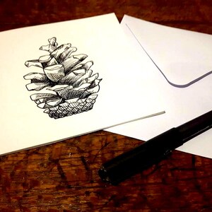 Originale disegnato a mano - Biglietto di auguri a pigna - Illustrazione a penna e inchiostro