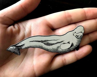 Matte Sticker - Arctic Beluga Whale - Original pen and ink illustration