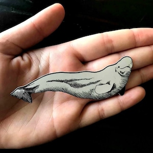 Matte Sticker - Arctic Beluga Wal - Original Feder und Tinte Illustration