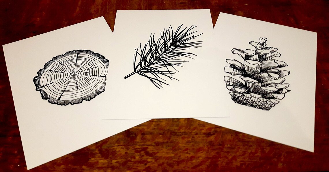 Prints Pine Tree Set 3 Pen and Ink illustrations | Etsy