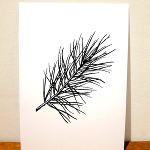 Print - Pine Branch Pen and Ink Illustration