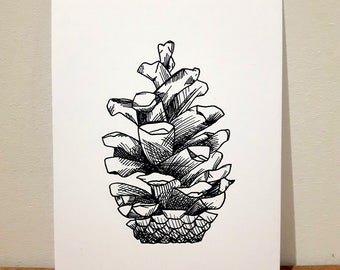 Print - Pinecone - Pen and Ink Illustration