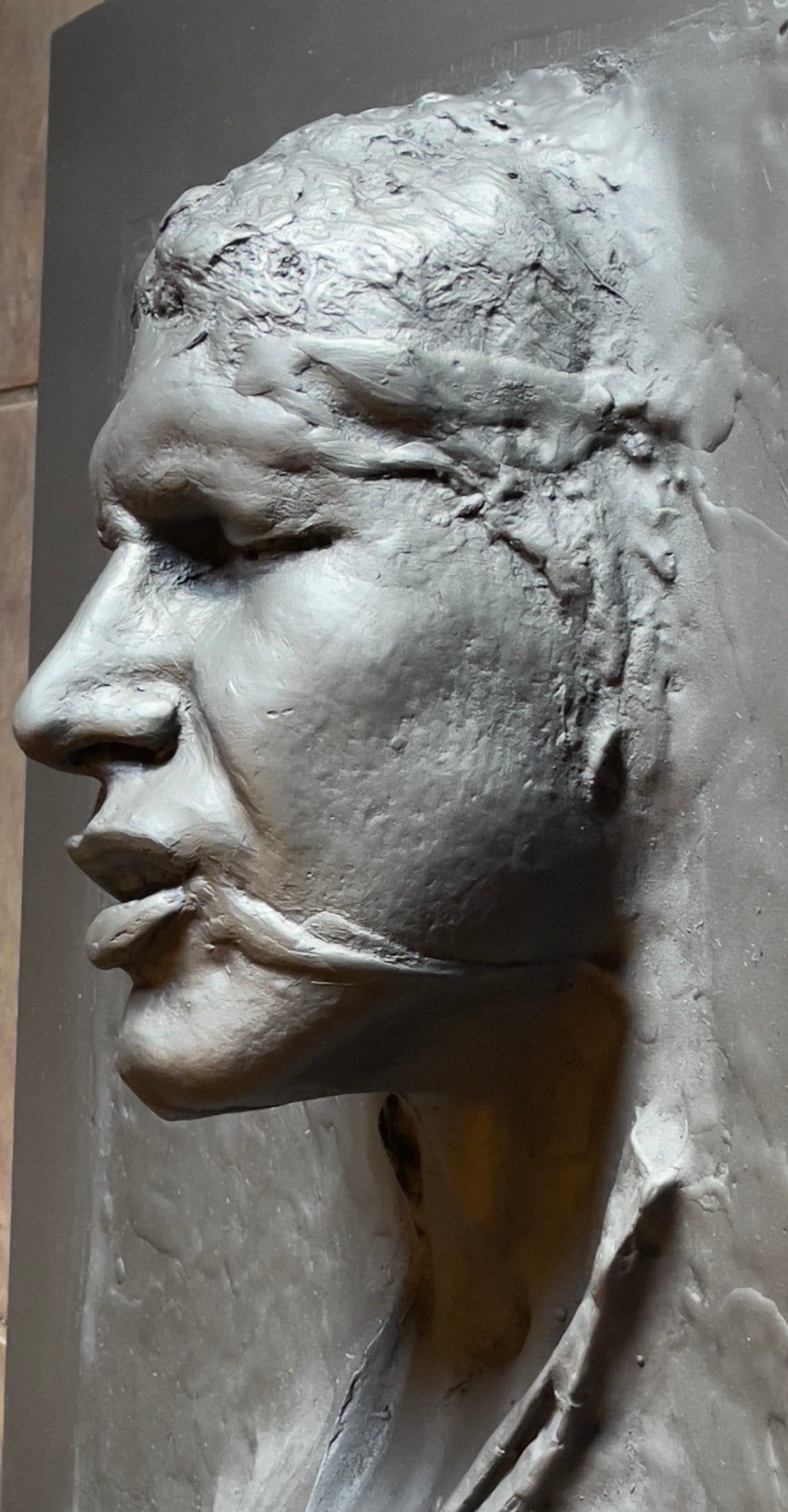 Life Size Han in Carbonite Cast kit Etsy UK