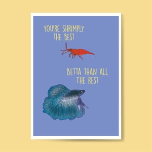 Betta / Garnele / Karte / Geschenk / Fischbehälter / Aqurium / Fischzucht / Grußkarte / Geburtstagskarte / Grußkarte