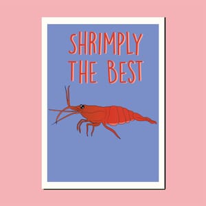 Crevettes / aquarium / aquarium / saint-valentin / carte de Saint-Valentin / pisciculture