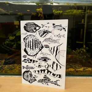 May include: Black and white line art illustration of various fish species. The fish are drawn in a realistic style and include a variety of shapes and sizes. The illustration is set against a white background.