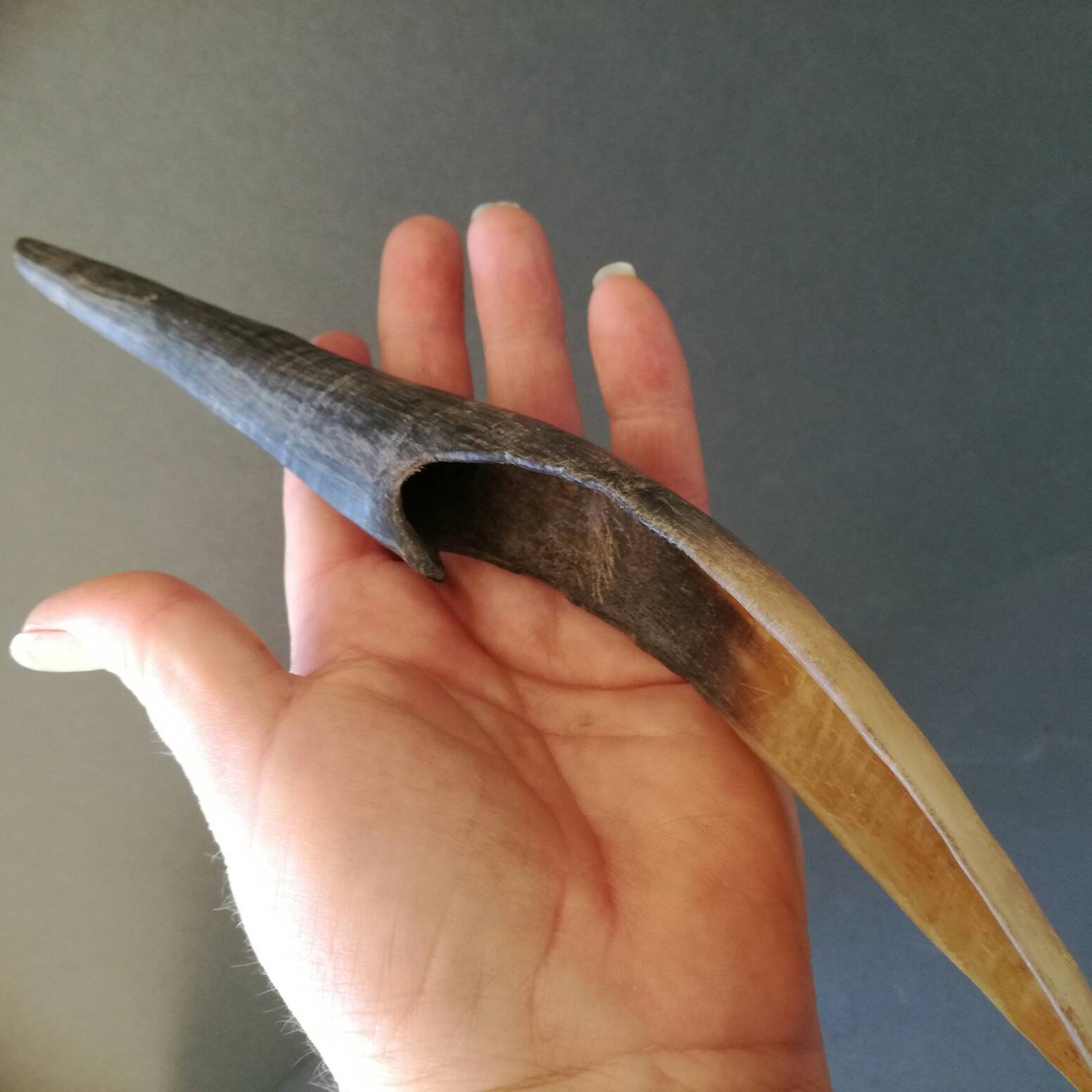 Cuillère Éthiopienne Galbée d'afrique de L'est, Cuillère Corne Vintage,