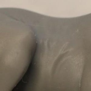 May include: A close-up of a gray sculpture of an animal, possibly a cat or dog, with smooth, curved lines. The sculpture has a matte finish and subtle details in the fur.