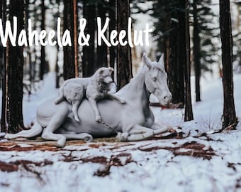 Model horse Waheela and dog Keelut Venti (1:20)