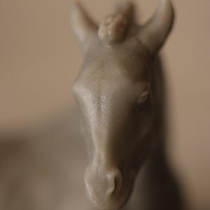May include: A close-up of a small, light-colored horse figurine. The figurine is detailed, with visible features like the ears, mane, and facial structure. The horse is a neutral color, and the background is blurred.
