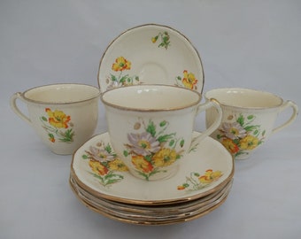 Alfred Meakin Densby Tea Cups and Saucers