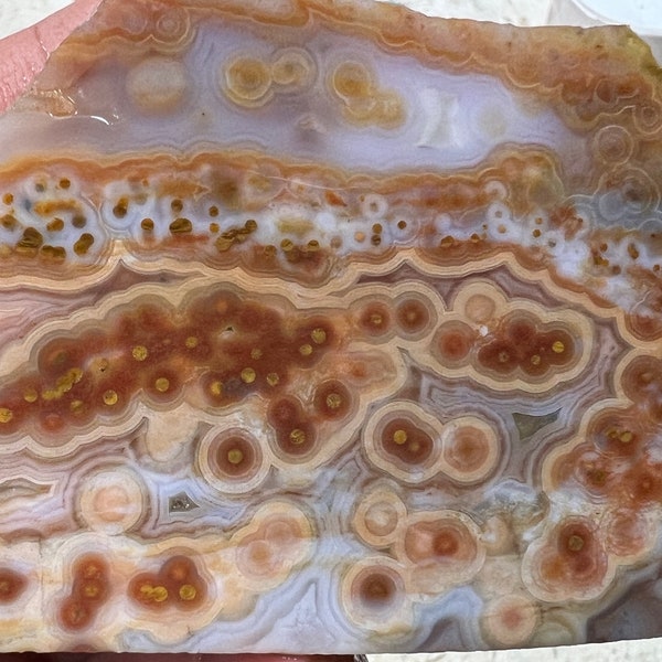 Excellent Cutter!!! OCEAN JASPER Slab - 95 grams