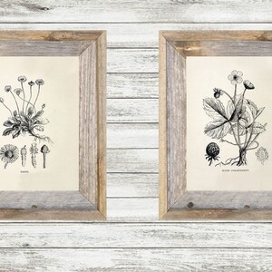 Vintage Botanical Wall Art Digital Download - Etsy