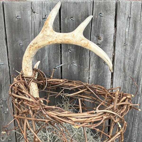 Basket Rack Deer Antler Baskets - Etsy