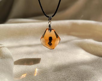 Collar con colgante de abeja auténtica preservada: colgante de insecto de resina color ámbar.