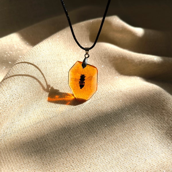 Real Preserved Honeybee in Amber Color Necklace, Bug Pendant, Real Bee Jewelry, Insect Gifts, Bee Gifts For Men, Birthday Gifts Unique