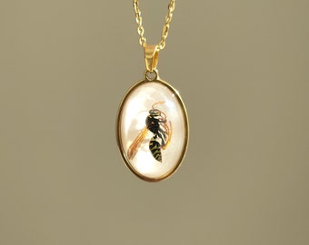 Real Preserved Bee Pendant, Pressed Daisy Bee Necklace, Real Insect ...