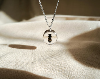 Collar de abeja auténtica: colgante de insecto preservado, regalo de joyería de insectos, accesorio para amantes de los insectos